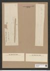 Thalassiothrix frauenfeldii Grun. (de-Toni-Nr.: Genus 67, Species 2669) Zeichnungen Sammlung Grunow Nr. 5443 (NHMW-BOT-W0373858)